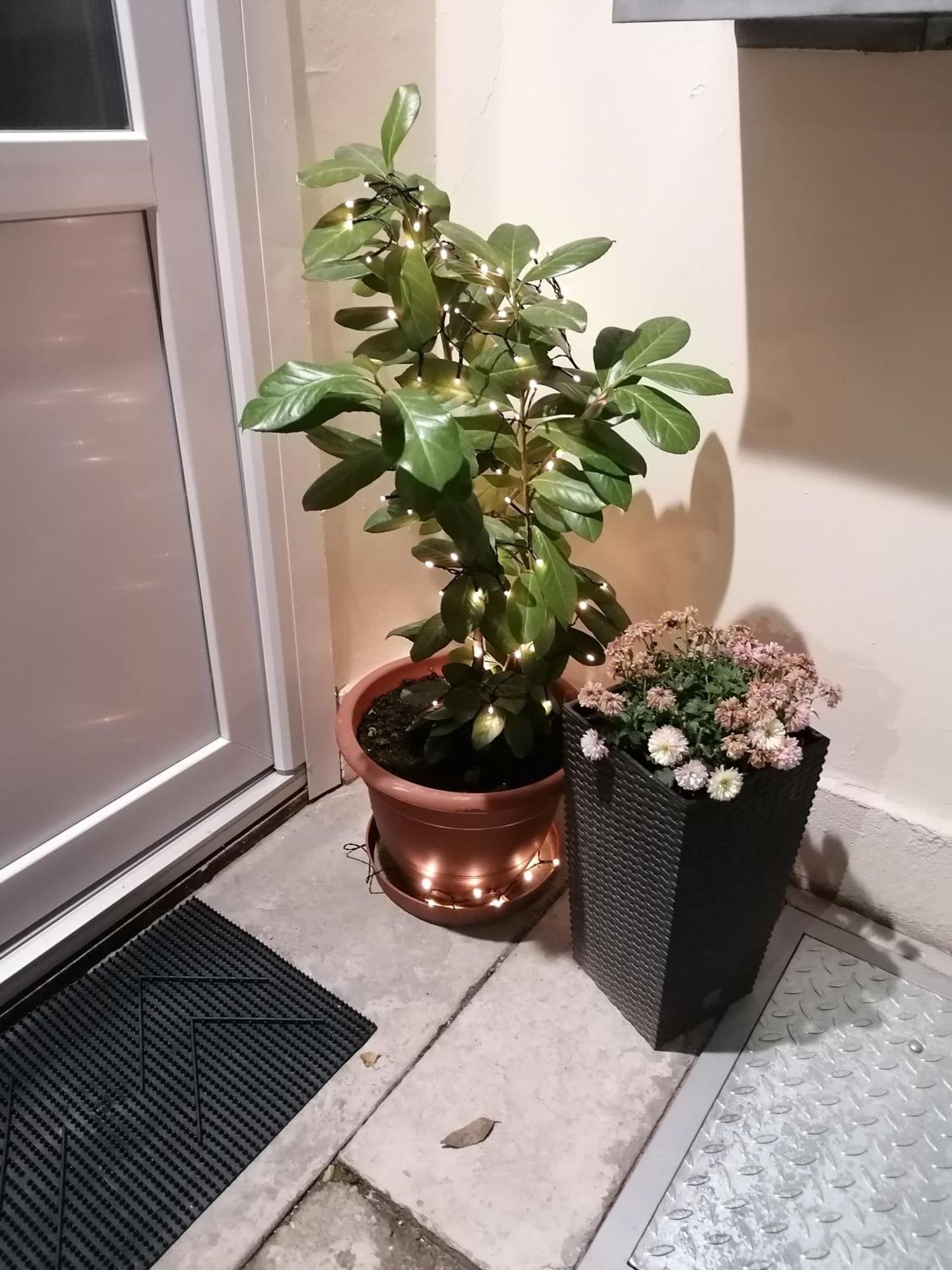 Mohacs Korona Apartman Dış mekan fotoğraf